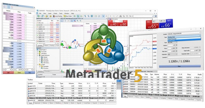 메타트레이더 5 로고